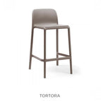 Tortora