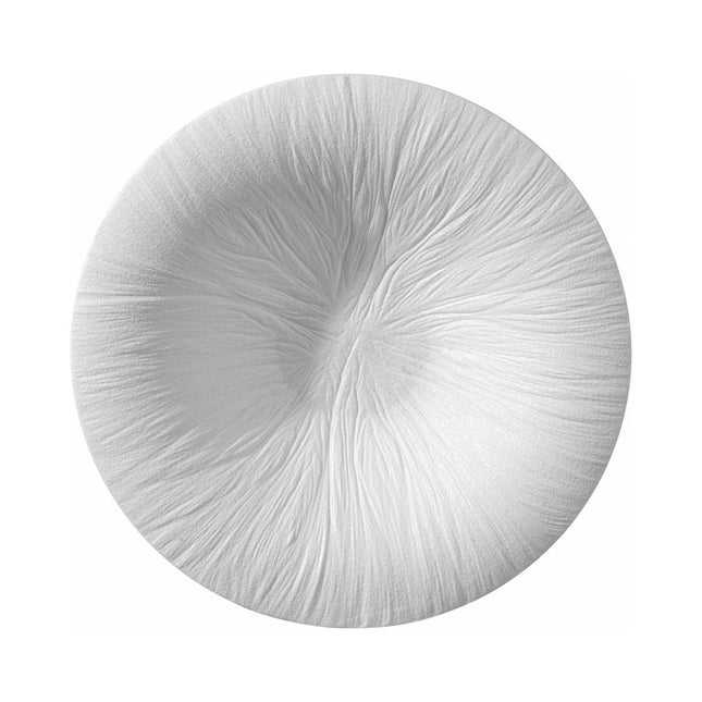 Fiord pasta plate 290 mm - hospitality