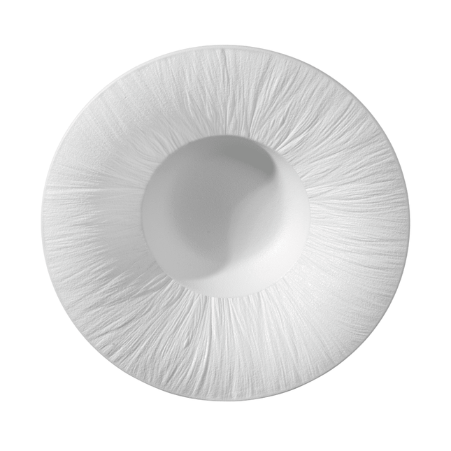 Fiord wide rim deep plate 270mm - hospitality
