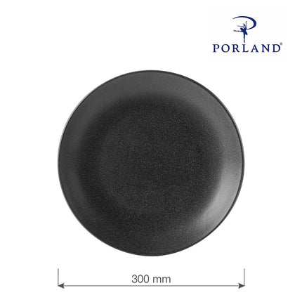 Coal flat plate, 300mm
