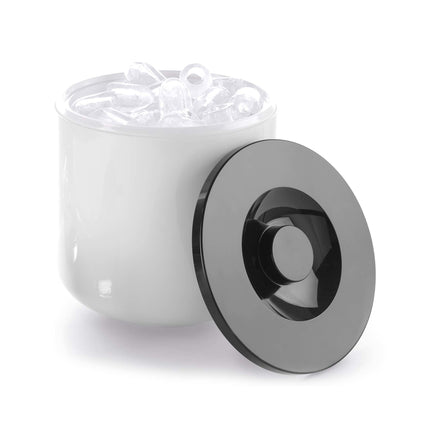 Ice box 10l