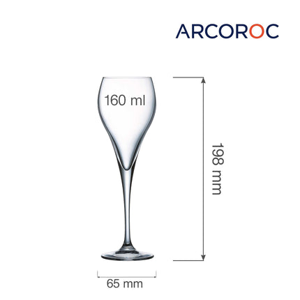 Brio Flute Champagne Glass - Modern Design With Ultra Thin Rim And Conical Bowl 160ml