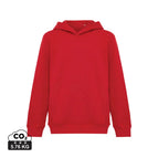 30% Recycled & 70% Organic Cotton / red / 57 x 46 x 0.5 cm