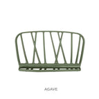 Agave