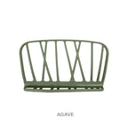 Agave