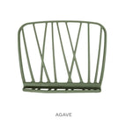 Agave