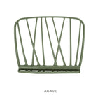 Agave