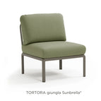 Tortora Giungla