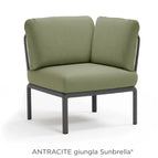 Anttacite Giungla