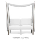 Tortora