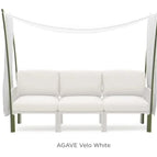 Agave Velo