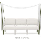 Agave Velo