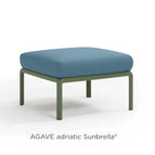 Agave Adriatic