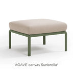 Agave Canvas