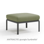Antracite Giungla