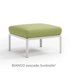 Bianco Avocado