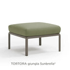 Tortora Giungla