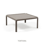 Tortora