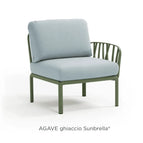 Agave Ghiaccio