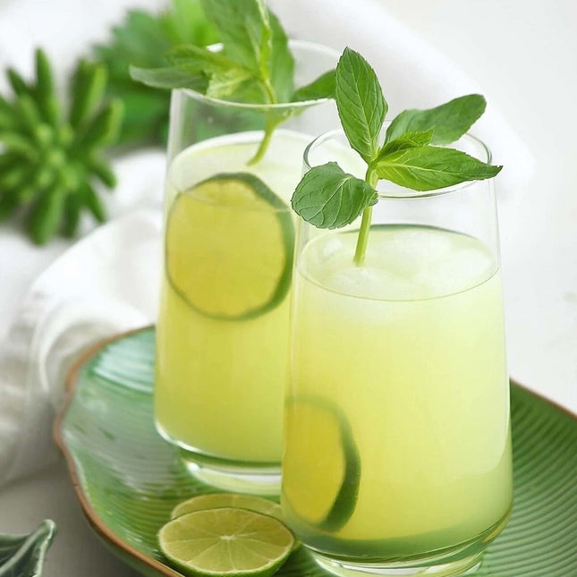 LAV Lyon Long Glass 480 Ml - Elegant Durable Glassware For Everyday Use Perfect For Entertaining And Daily Dining - hospitality