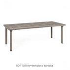Tortora