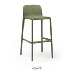 Agave