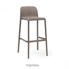 Tortora