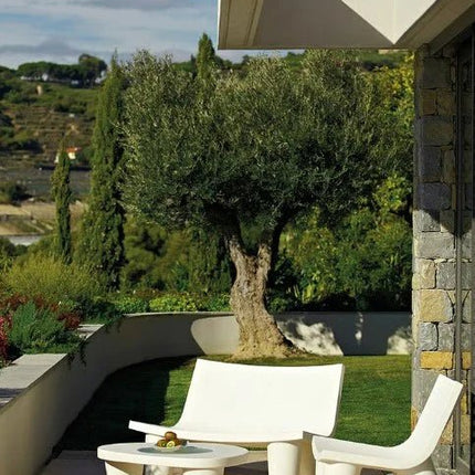 Low Lita Lounge Chair - hospitality