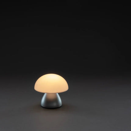Luming RCS recycled plastic USB re-chargeable table lamp - hospitality