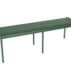 Cedar Green