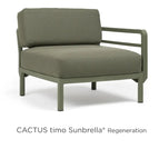 Cactus Timo