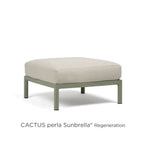 Cactus Perla