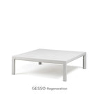 Gesso Regeneration