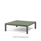 Cactus Regeneration