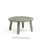 Cactus 70 diameter mini