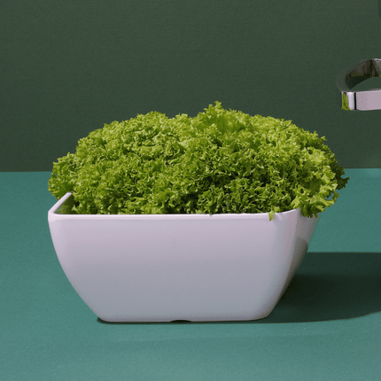 Melamine square bowl, white for 171554, 190x190x(h)90mm - hospitality