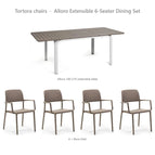 Tortora chairs