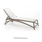 Tortora Bianco