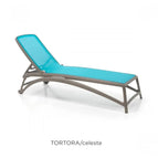 Tortora Celeste