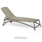 Tortora Agave