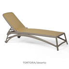 Tortora Deserto