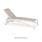 Bianco Tortora