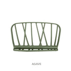 Agave
