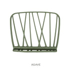 Agave