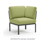 Anttacite Avocado
