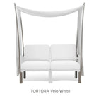 Tortora