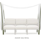 Agave Velo