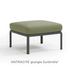Antracite Giungla