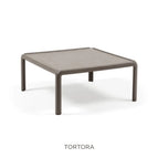 Tortora