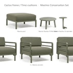 Cactus frame / Timo cushions